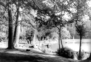 Longleat: Longleat, Shearwater c1965