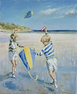 Kites: Look My Kite's Flying! ' two boys on beach