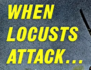 Locusts: look and learn, no 169, april, 1965, font, when