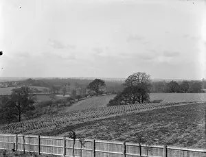 Blackfen: Looking towards Blackfen