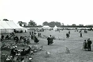 Hatfield: Looking towards the car park and Bert Hinkler...s Ibis at
