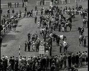 Jockeys: Looking Down Into One of the Enclosures At