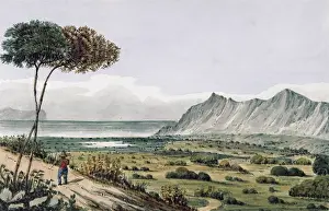 Constantia: Looking towards Muizenberg from Constantia, 1836