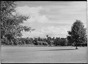 Harker: Looking north from Verulamium Park towards Cathedral