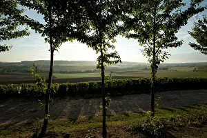 Montagne: Looking south from Montagne de Bligny