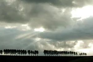 Ridge: Looking westwards from the Thiepval Ridge - Somme