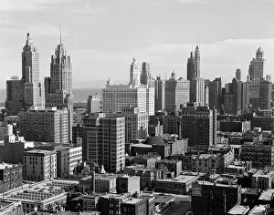 Midwestern: The Loop Downtown Skyline Chicago