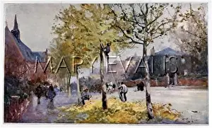 Pruning: LOPPING CITY TREES
