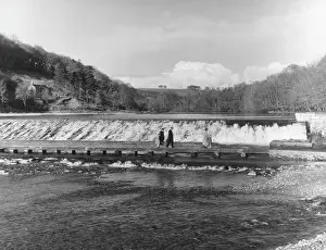 Tavy: LOPWELL DAM