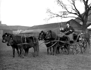 Proprietor: Lord George Sanger with his ponies