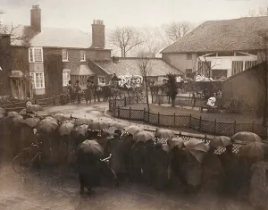 Rawhide Collection: Lord George Sanger's funeral procession