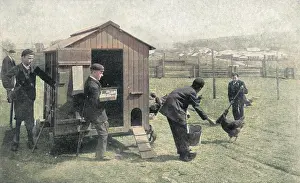Treloar: Lord Mayor Treloar Cripples Home, Alton - Poultry Farm