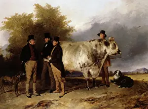 Stewards: Lord Spencer and Bull