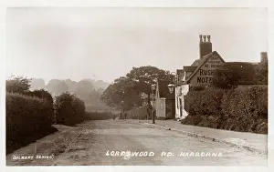 Hedges: Lordswood Road, Harborne, Birmingham, West Midlands