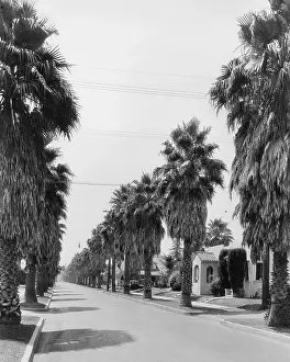 Lifeless: Los Angeles, 1933