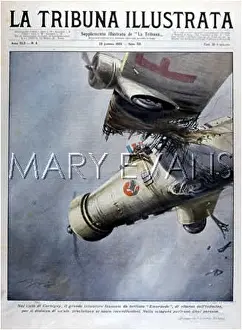 Emeraude: LOSING A WING IS FATAL