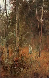 Mccubbin: Lost