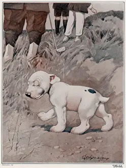 Hidden: Lost Ball by George Studdy