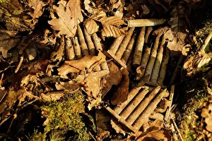 Maur: The Lost Battalion