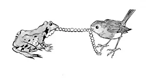 Storycard: The Lost Necklace - frog & bird with necklace
