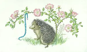 Storycard: The Lost Necklace - hedgehog and necklace