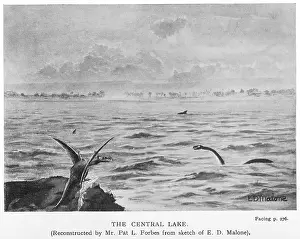 Plesiosaurs: THE LOST WORLD/DOYLE