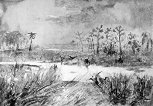 Pterodactyls: LOST WORLD SWAMP/DOYLE