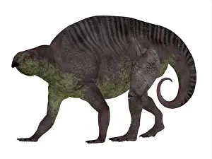 Archosaur: Lotosaurus dinosaur, side profile