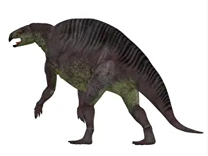 Rearing: Lotosaurus dinosaur, rear view