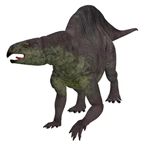 Archosaur: Lotosaurus dinosaur on white background