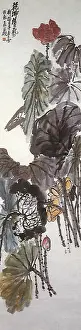 Amidst: Lotus