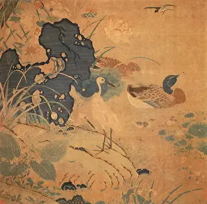 Dragonflies: Lotus Pond