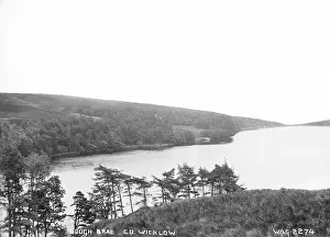 Bray: Lough Brae, Co. Wicklow
