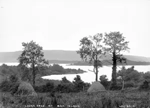 Fermanagh: Lough Erne at Boa Island