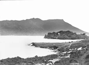 Galway: Lough Fee, Co Galway