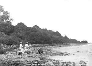 Foreshore: Lough Neagh at Ram's Island