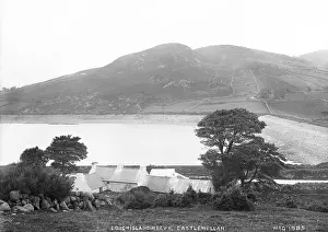 Castlewellan: Loughislandreevy, Castlewellan