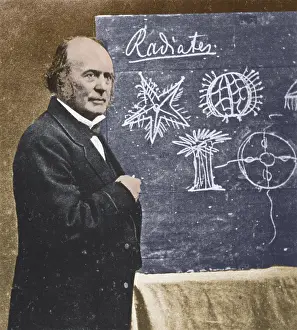 Comparative: Louis Agassiz, Swiss-American Polymath