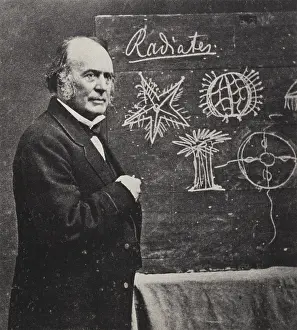 Comparative: Louis Agassiz, Swiss-American Polymath