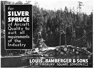 Bamberger: Louis Bamberger - Aircraft Quality Silver Spruce