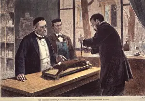 Chloroform: Louis Pasteur (1822-1895), French chemist ?