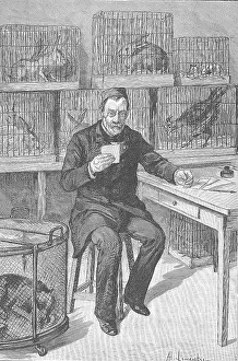 Cages: Louis Pasteur (1822-1895) French chemist, in his