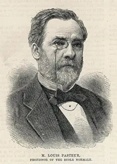 Anthrax: Louis Pasteur
