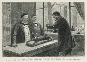 Experimenting: LOUIS PASTEUR
