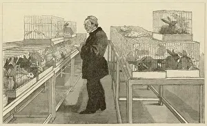 Cages: LOUIS PASTEUR