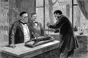 Anthrax: Louis Pasteur experimenting on a chloroformed rabbit