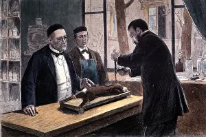 Vaccine: Louis Pasteur, French Chemist and Bacteriologist
