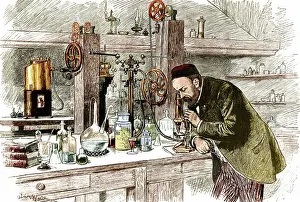 Microbiologist: Louis Pasteur Working in His Laboratory, 1885