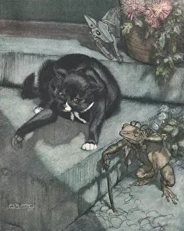 Delineator: Louis Wain