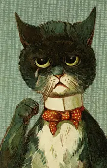 Tearful: Louis Wain cats